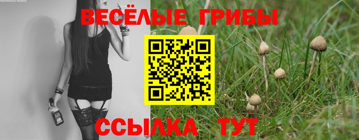 Псилоцибиновые грибы MAGIC MUSHROOMS Фурманов