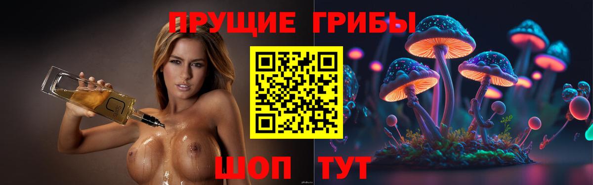Галлюциногенные грибы мицелий  Псилоцибиновые грибы прущие грибы  Фурманов  Вход с VPN 